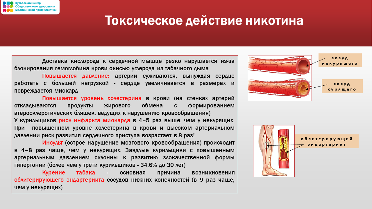 Неделя осведомленности о сердце 10-16.02 Слайд13