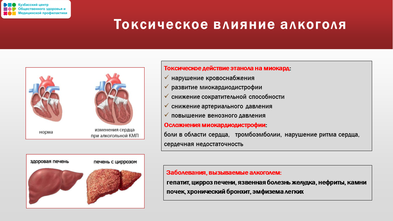 Неделя осведомленности о сердце 10-16.02 Слайд14