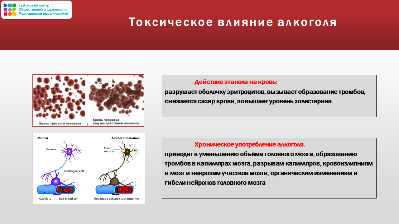 Неделя осведомленности о сердце 10-16.02 Слайд15