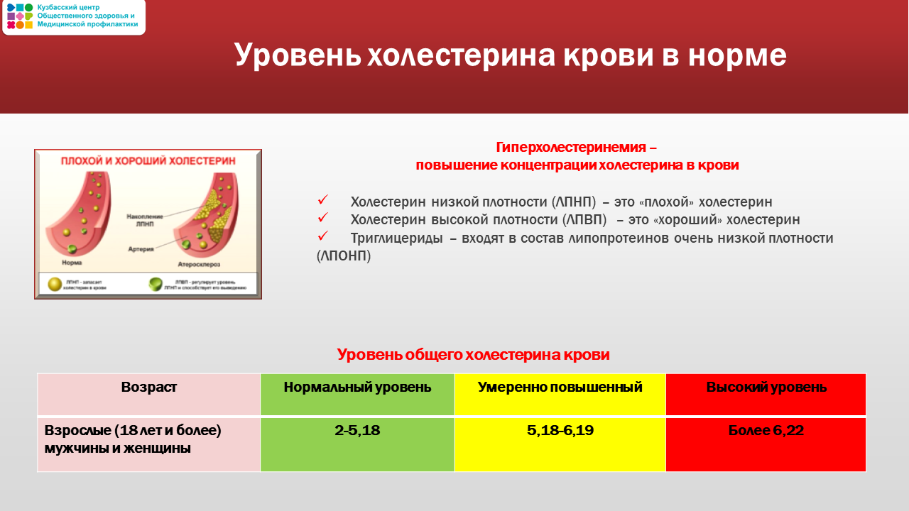 Неделя осведомленности о сердце 10-16.02 Слайд22