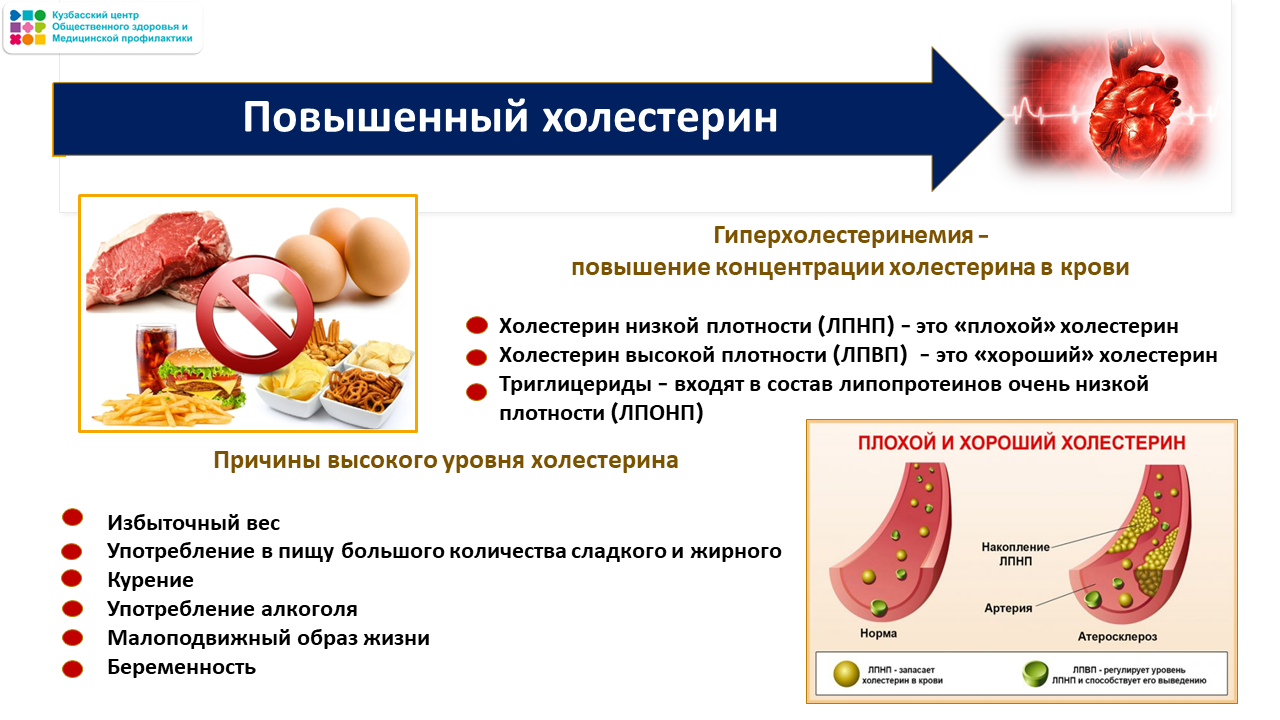 Неделя ответственного отношения к сердцу 23-29.09 Слайд20