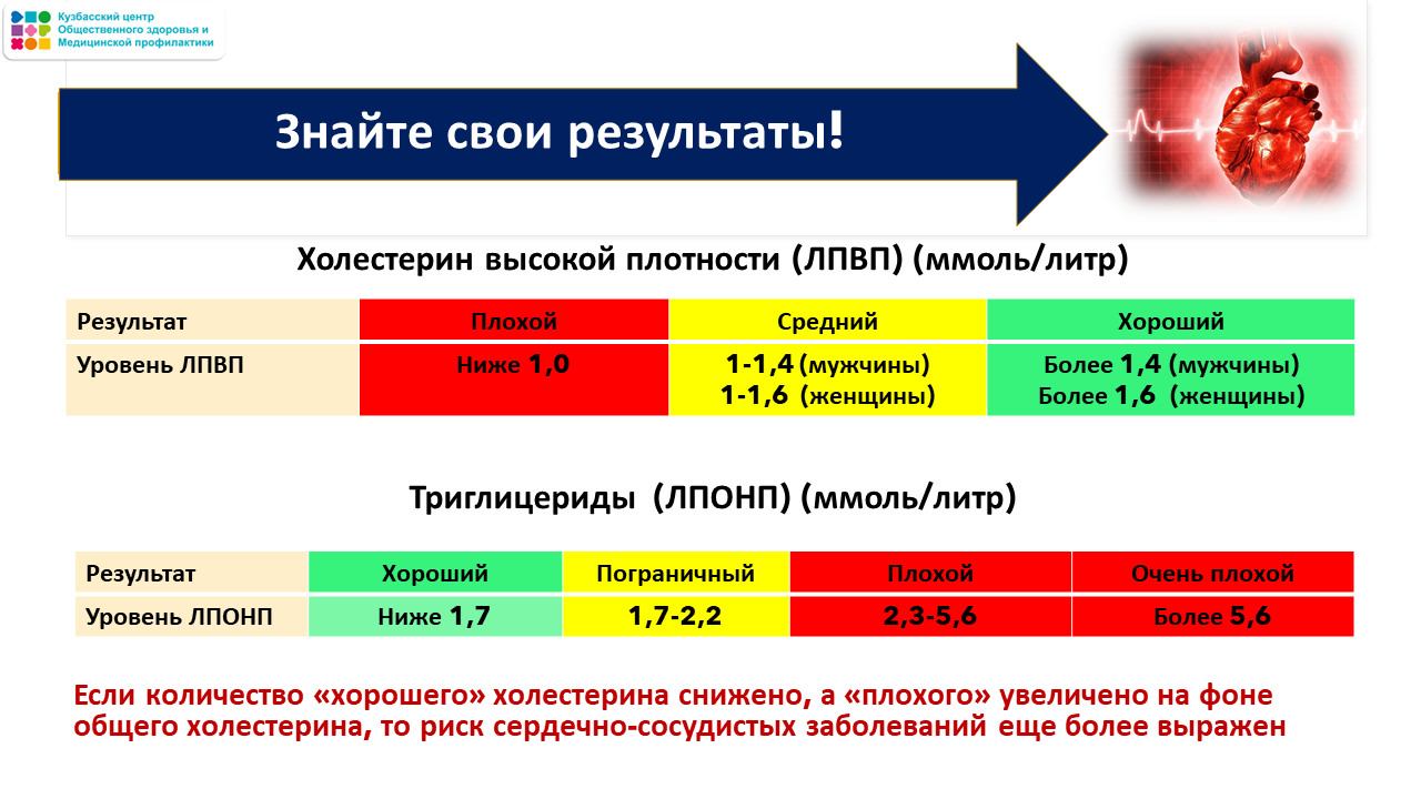 Неделя ответственного отношения к сердцу 23-29.09 Слайд22