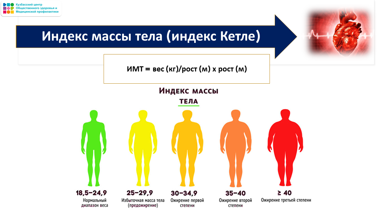 Неделя ответственного отношения к сердцу 23-29.09 Слайд24