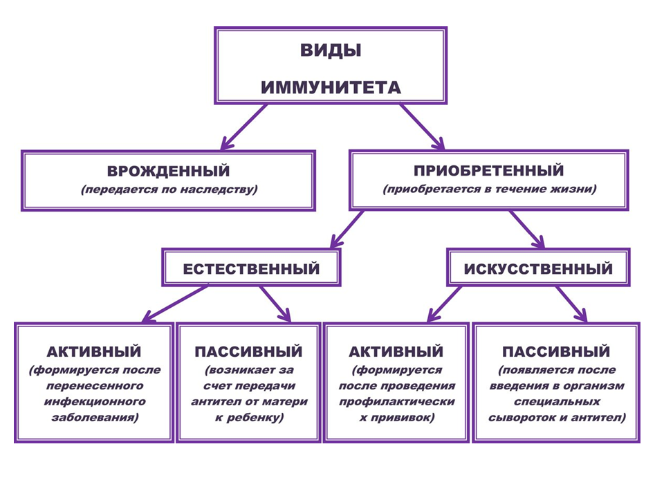 Неделя поддержания иммунитета 24.02-02.03 Слайд5