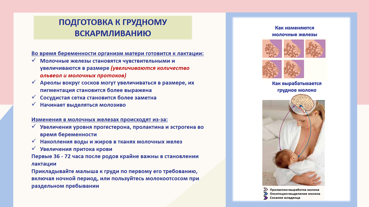 Неделя грудного вскармливания 29.07-04.08. Слайд (5)