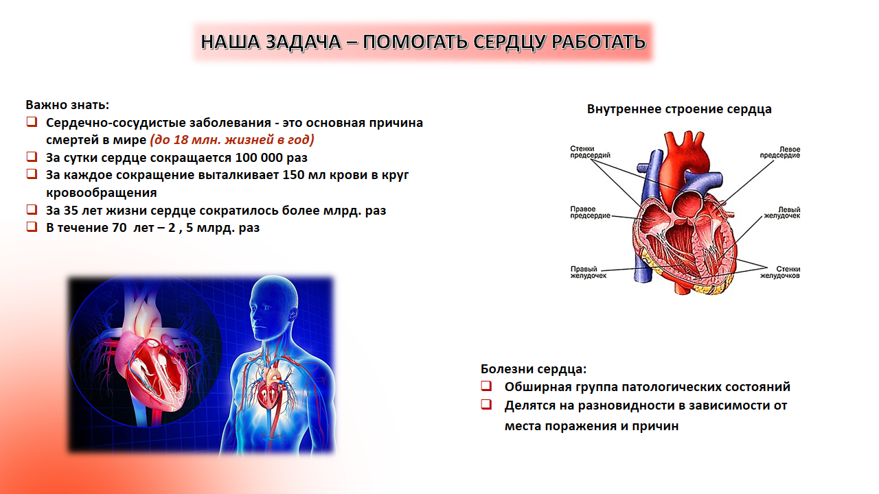 Неделя профилактики сердечно-сосудистых заболеваний 05 - 11 Слайд2