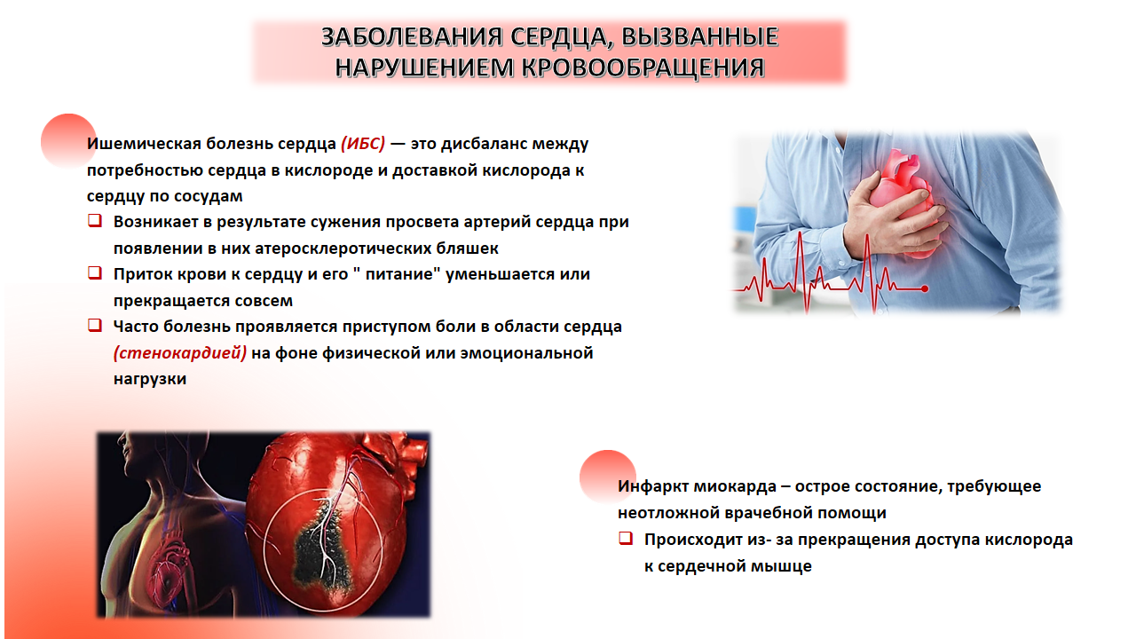 Неделя профилактики сердечно-сосудистых заболеваний 05 - 11 Слайд3