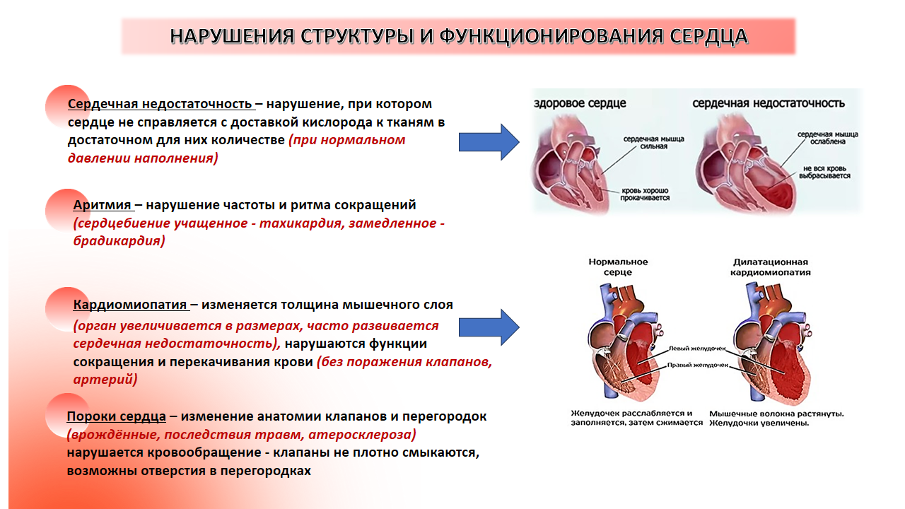 Неделя профилактики сердечно-сосудистых заболеваний 05 - 11 Слайд6