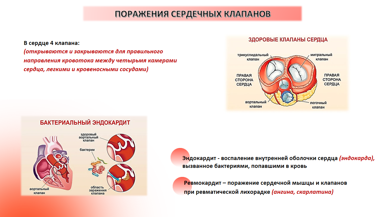 Неделя профилактики сердечно-сосудистых заболеваний 05 - 11 Слайд7