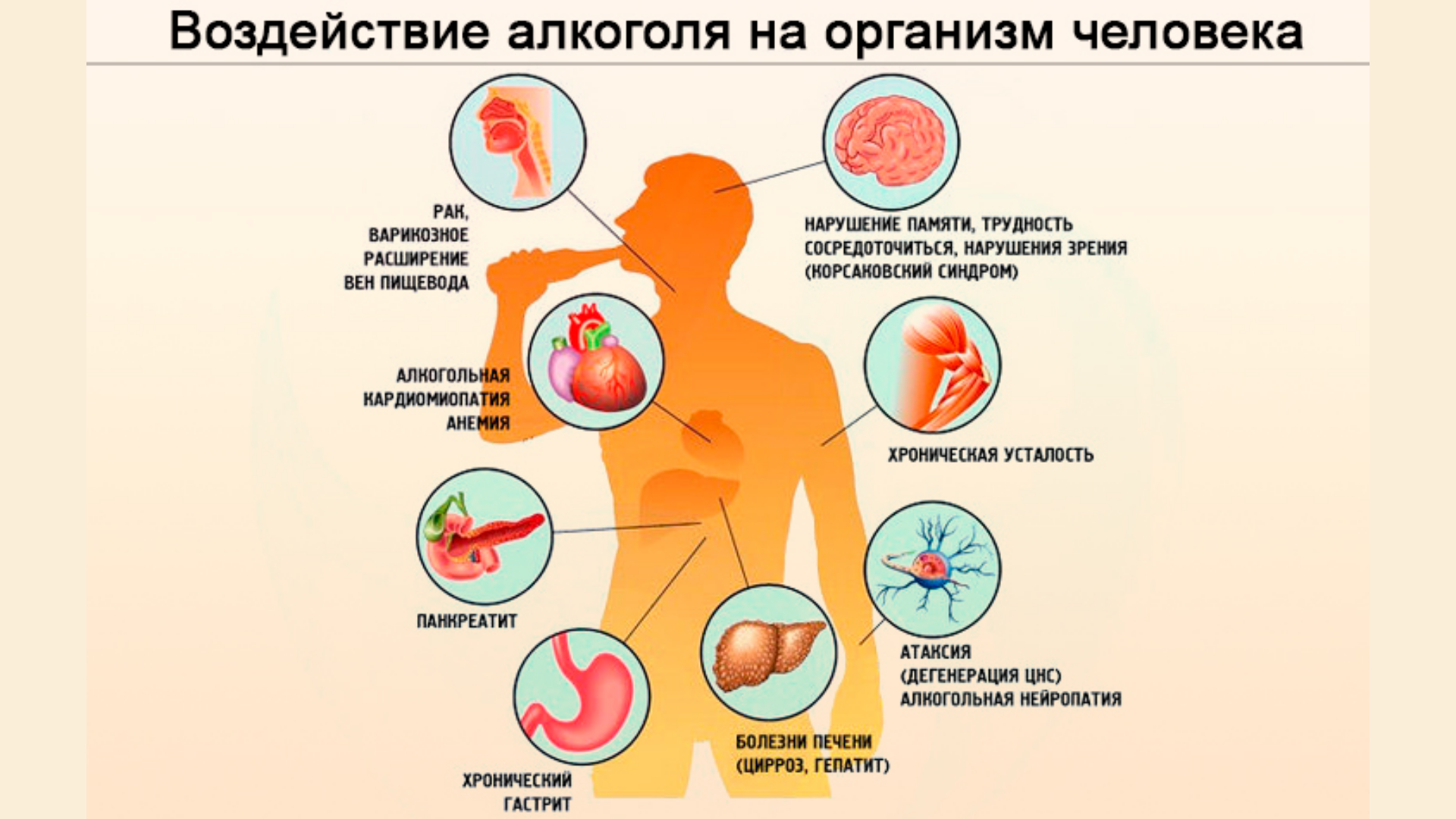 Неделя профилактики злоупотребления алкоголем 23-31.12 Слайд 9